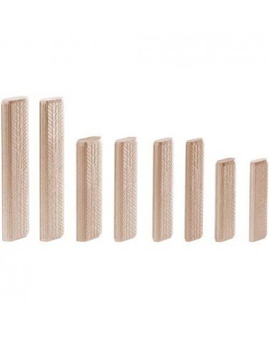 Kaisčiai DOMINO Buche D 12x140/90